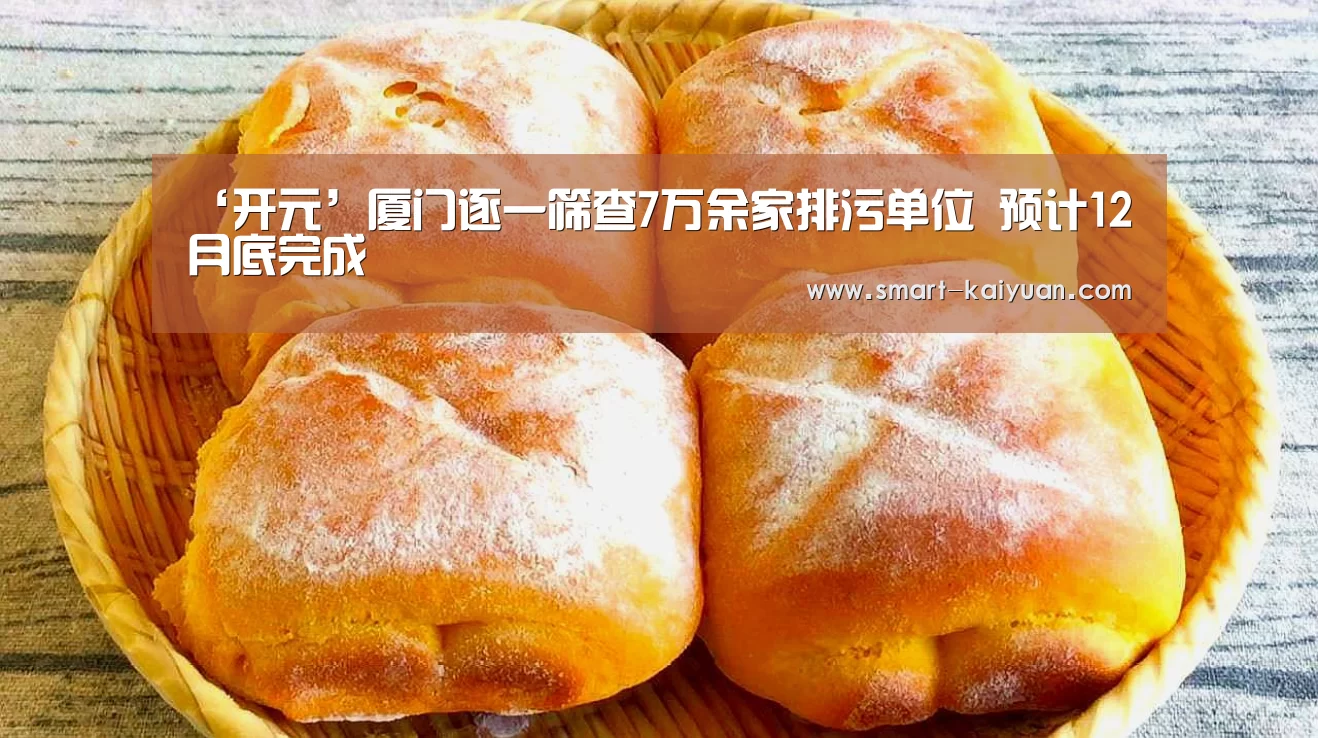 开云体育APP