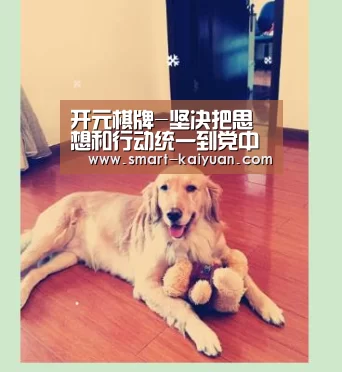 开元棋牌-坚决把思想和行动统一到党中央决策部署上来_时事政治_中公教育网(图1) 开云体育APP