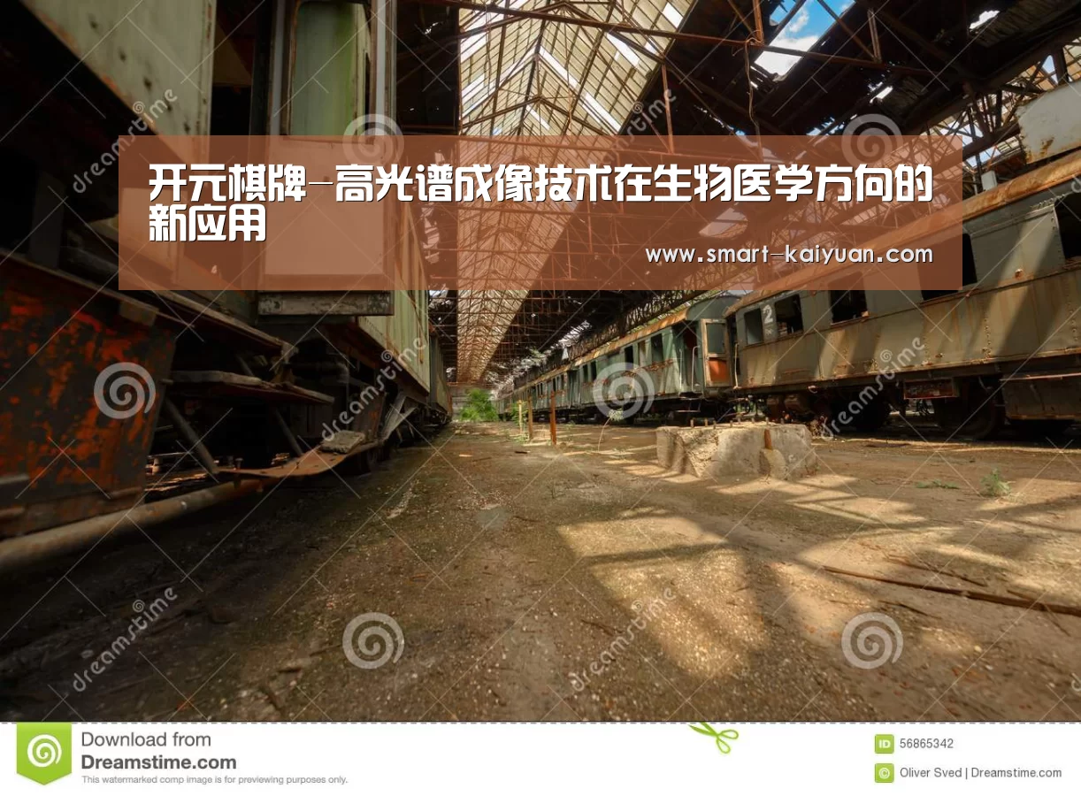 开元棋牌-高光谱成像技术在生物医学方向的新应用(图3) 开元棋牌官网