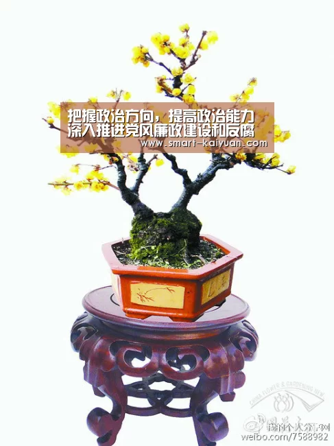 把握政治方向,提高政治能力深入推进党风廉政建设和反腐败斗争‘开元棋牌官网’(图1) 开云体育APP